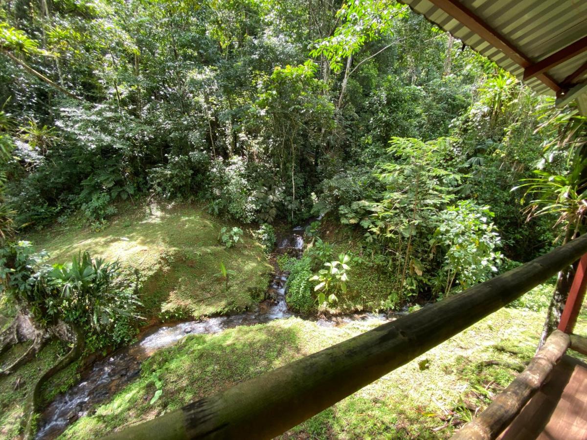 Esquipulas Rainforest Quepos Bagian luar foto