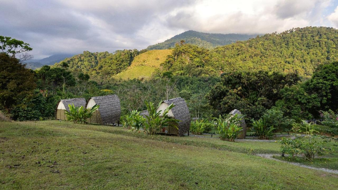Esquipulas Rainforest Quepos Bagian luar foto